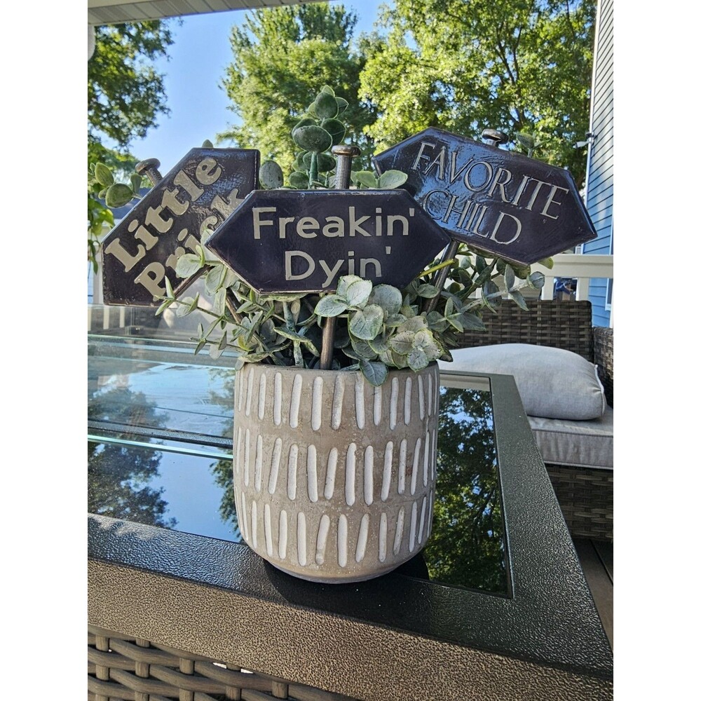 Plant Sign-Ceramic Signs On 6 Inch Stainless Stake-Funny-Garden Decor Set of 3